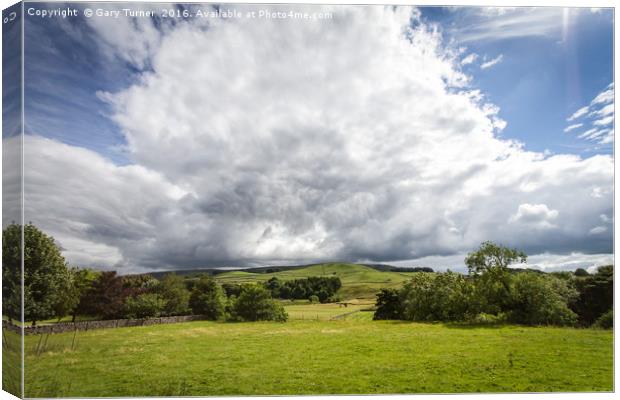 Wharfedale View Canvas Print by Gary Turner