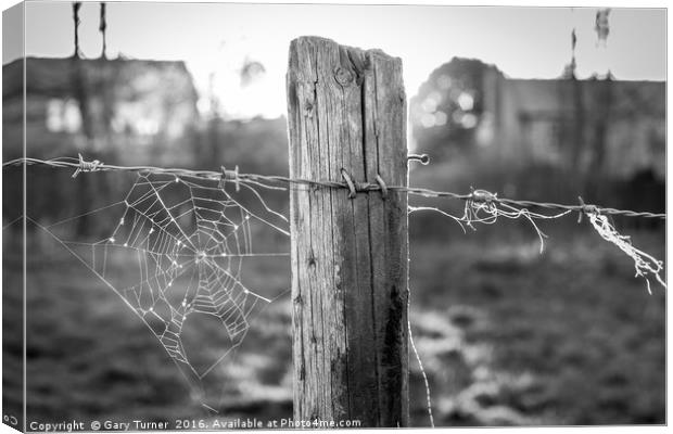 Sunset Spider Web Canvas Print by Gary Turner