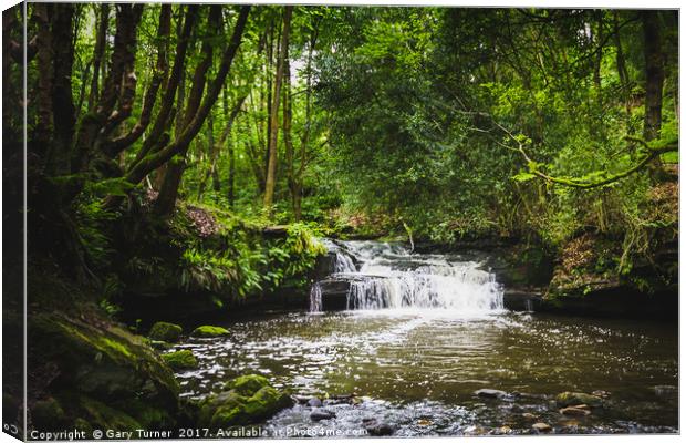 Goitstock Woods Falls Canvas Print by Gary Turner