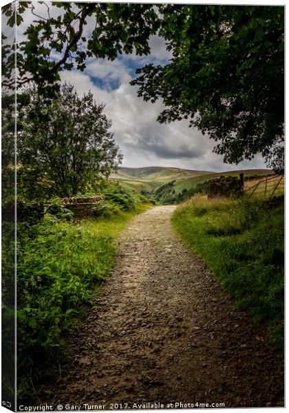 Leading to Hey Clough Portrait Canvas Print by Gary Turner