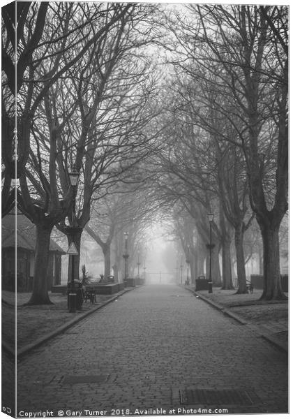 Avenue and Mist Canvas Print by Gary Turner