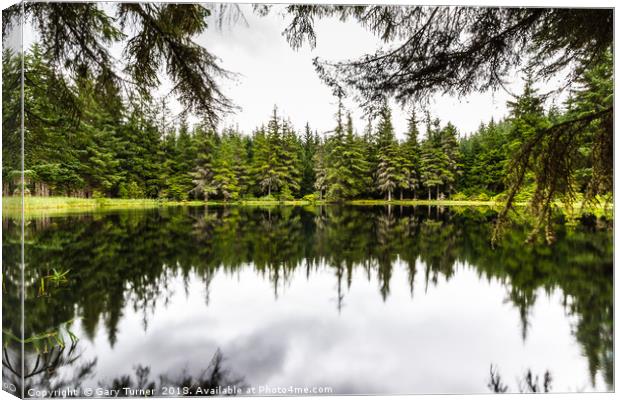 Lochan Torr an Tuill Canvas Print by Gary Turner