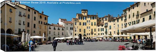  Piazza Dell' Anfiteatro Panorama  Canvas Print by Adrian Beese