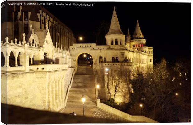 Budapest Royal Palace at night Canvas Print by Adrian Beese