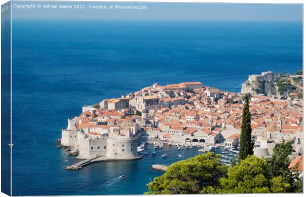 Dubrovnik Croation Walled City Canvas Print by Adrian Beese