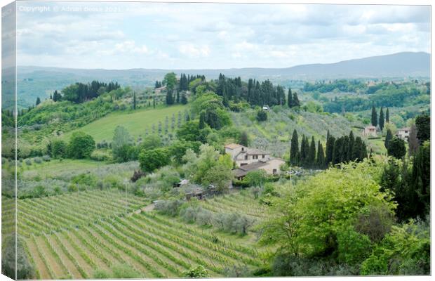 Tuscan Villa and vineyards Canvas Print by Adrian Beese
