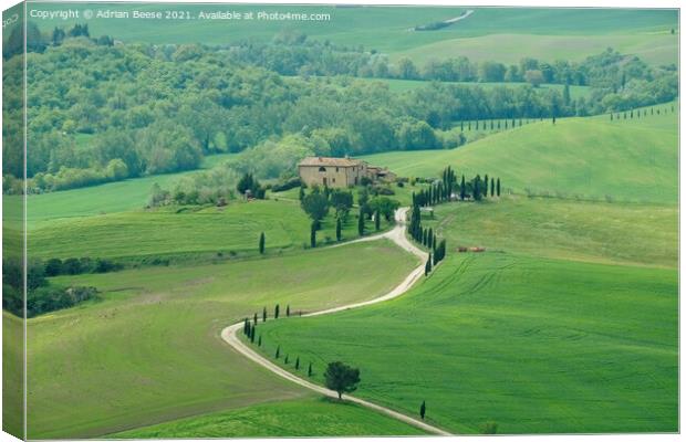 A Tuscan Farm in lush green countryside Canvas Print by Adrian Beese