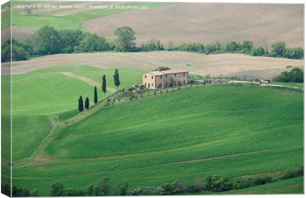 Old Tuscan farm Canvas Print by Adrian Beese