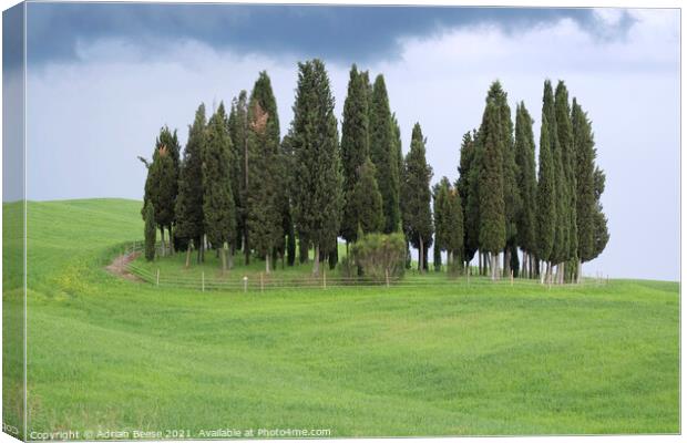 Tuscan Trees Canvas Print by Adrian Beese