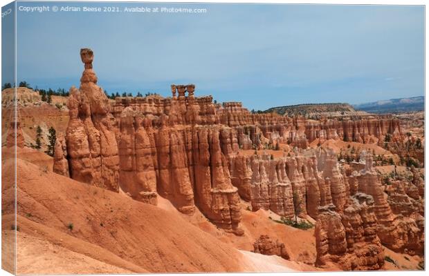 Crimson Hoodoos Bryce Canyon National Park Canvas Print by Adrian Beese