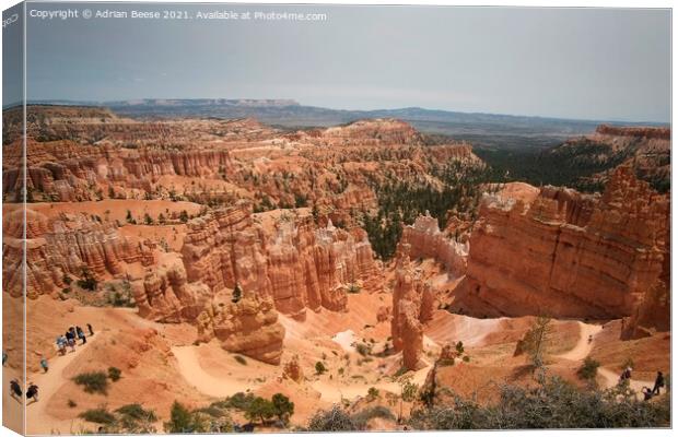 Bryce Canyon Amphitheatre Utah Canvas Print by Adrian Beese