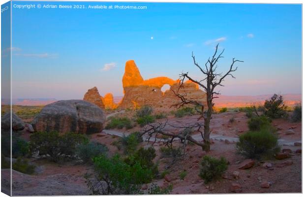 Desert dawn at Arches National Park Canvas Print by Adrian Beese