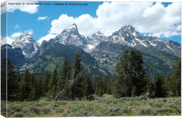 The Grand Tetons Mountain Range Canvas Print by Adrian Beese
