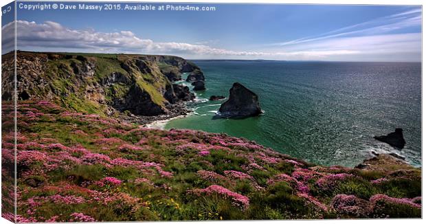 Spring Flowers on Cliffs Canvas Print by Dave Massey