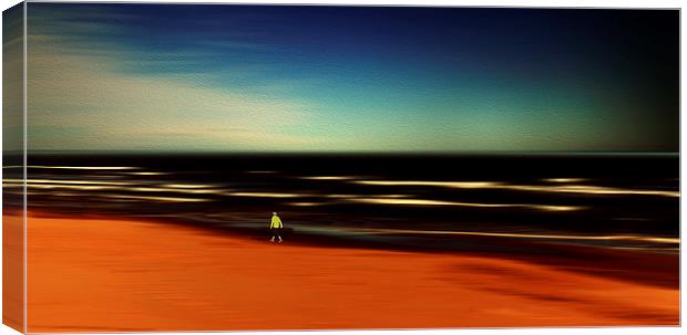  Lonely walk Canvas Print by DeniART 