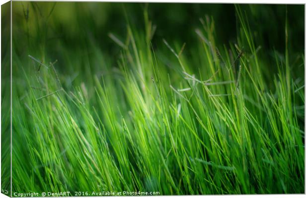 Green, green grass of home Canvas Print by DeniART 