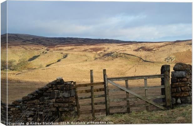 Gate with a view - on Shap Fell, Cumbria...  Canvas Print by Andy Blackburn