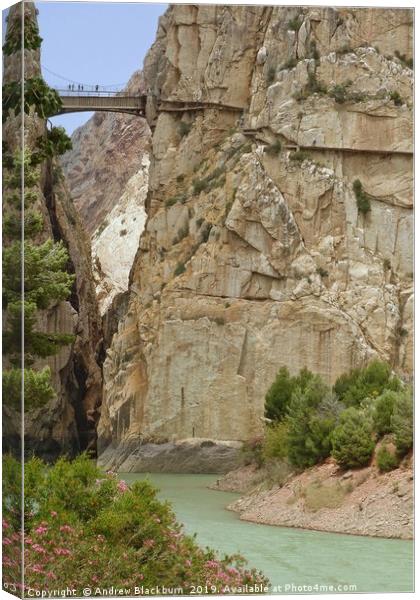 Gorge of the Gaitanes, Andalucia, Spain.  Canvas Print by Andy Blackburn