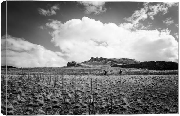  A Desert Hike Canvas Print by Brent Olson