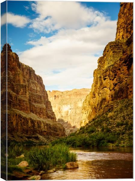 Grand Canyon in the Morning Canvas Print by Brent Olson