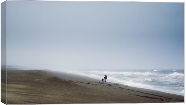 Beach, Woman, Dog, waves Canvas Print by Brent Olson