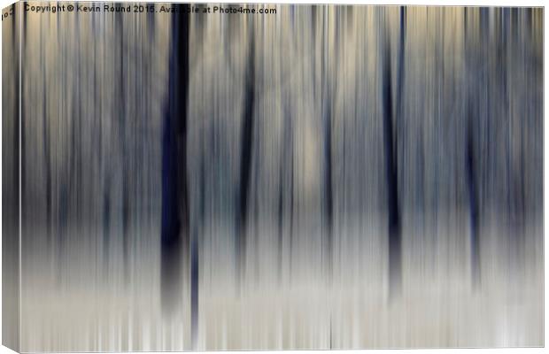 Blurred Wintry Wood Canvas Print by Kevin Round