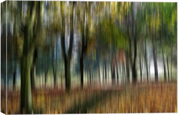 Woodland Blur Canvas Print by Kevin Round