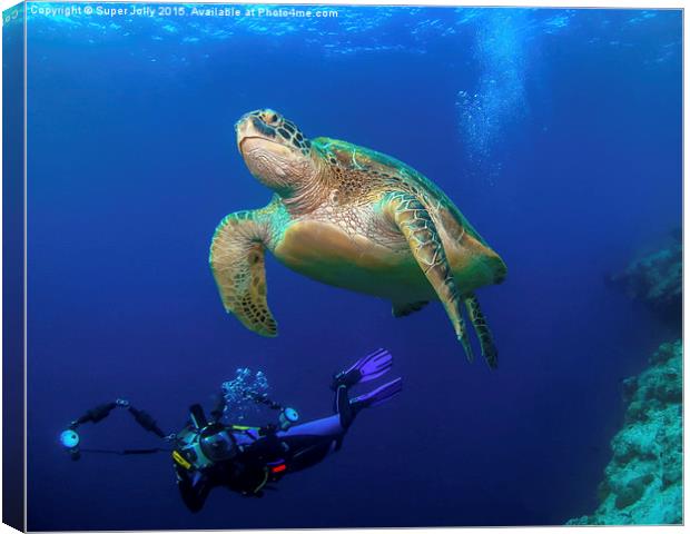Underwater turtle and photographer Canvas Print by Super Jolly