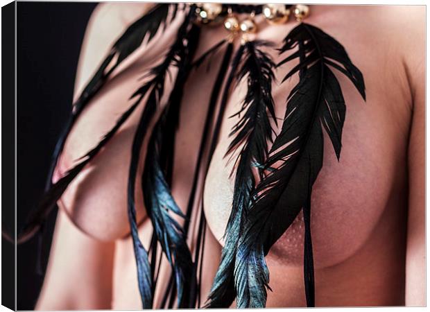 Black feather necklace Canvas Print by Chris Watson