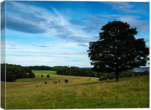 Wentworth Woodhouse Deer Park Canvas Print by Chris Watson
