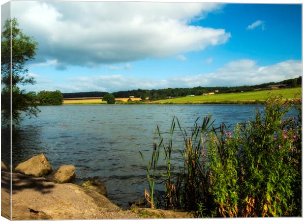 Morley Pond, Wentworth Park Canvas Print by Chris Watson