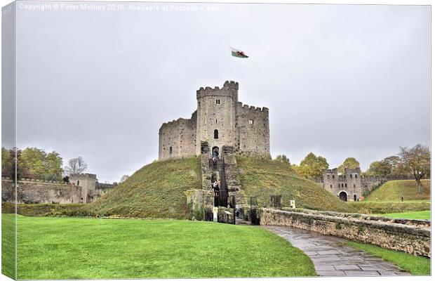 Cardiff Castle Canvas Print by Peter McIlroy
