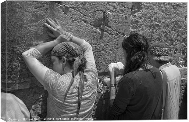 Woman pray at the western Wall (Kotel) Jerusalem,  Canvas Print by Eyal Nahmias