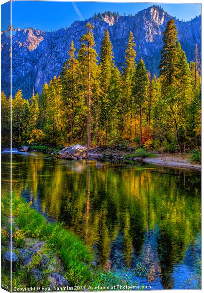 Reflections on the Merced river, Yosemite National Canvas Print by Eyal Nahmias