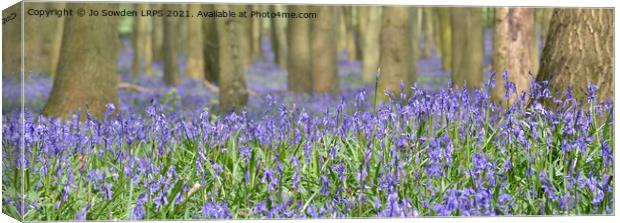 Bluebells in the forest Canvas Print by Jo Sowden