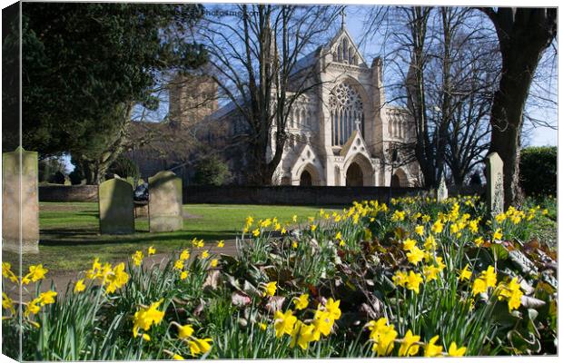 Spring in St Albans Canvas Print by Jo Sowden