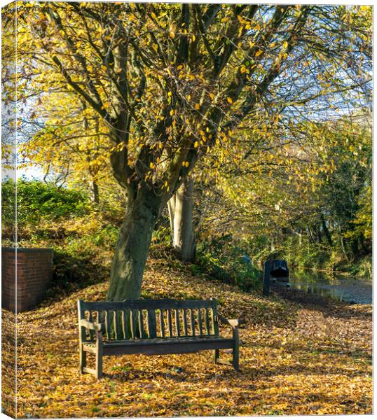 A seat with a view Canvas Print by Jo Sowden