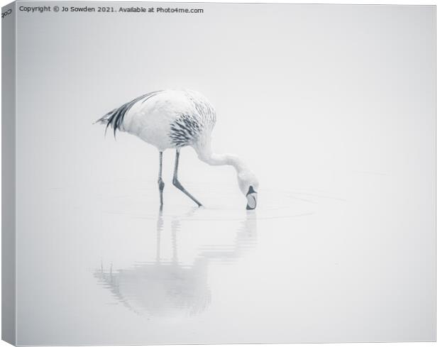 Flamingo in Mono Canvas Print by Jo Sowden