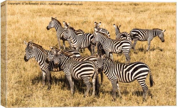 Zebras in the Serengeti Canvas Print by Jo Sowden