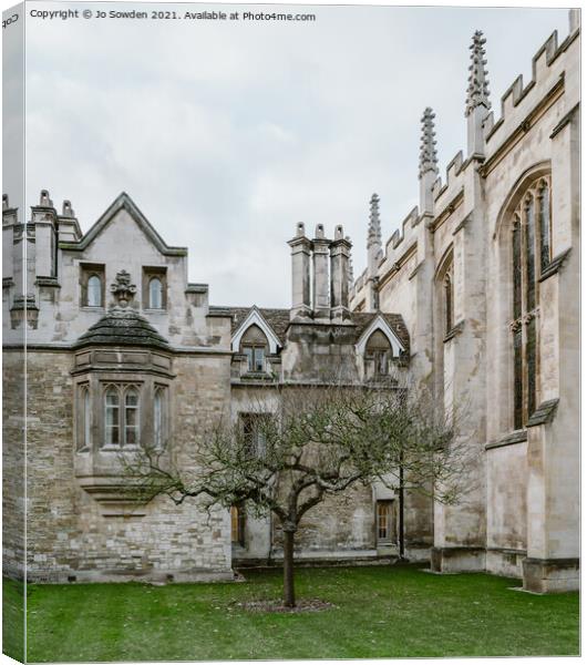 Newtons Tree, Trinity College, Cambridge Canvas Print by Jo Sowden