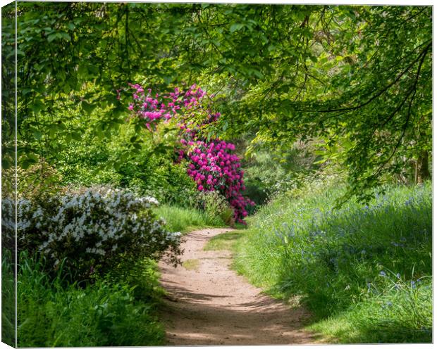A beautiful walk in the countryside Canvas Print by Jo Sowden
