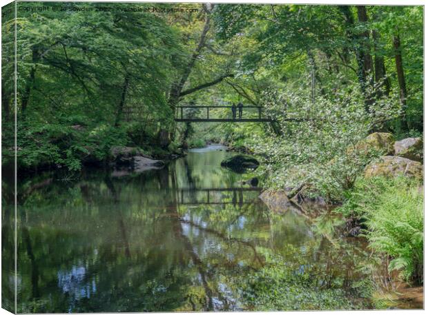 Bridge over the River Teign Canvas Print by Jo Sowden