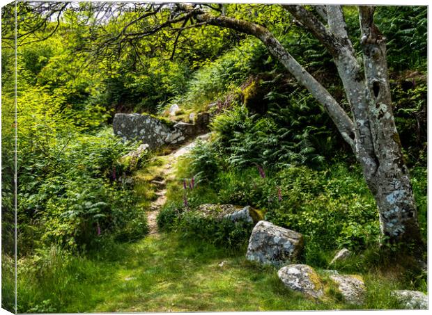 Haytor Quarry Canvas Print by Jo Sowden