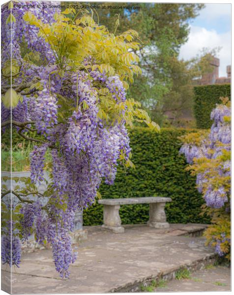 Wisteria Canvas Print by Jo Sowden