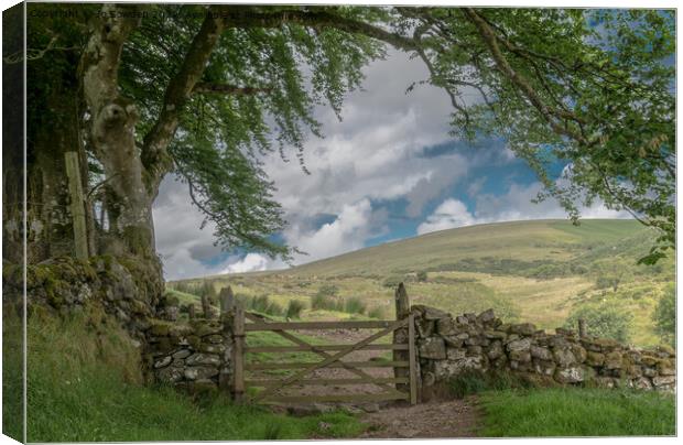The path to Dartmoor Canvas Print by Jo Sowden