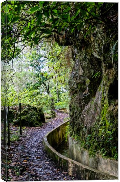 Ribeiro Frio Levada Walk, Madeira ( PR10) Canvas Print by Jo Sowden