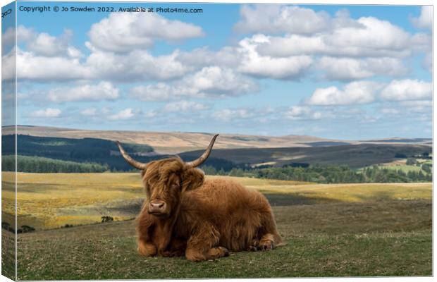 Highland Cow resting Canvas Print by Jo Sowden
