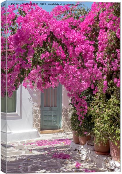 bougainvillea beauty  Canvas Print by Jo Sowden