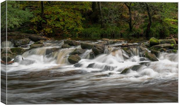 Cascades  on the River Teign Canvas Print by Jo Sowden