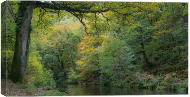 Tranquil River Teign Canvas Print by Jo Sowden